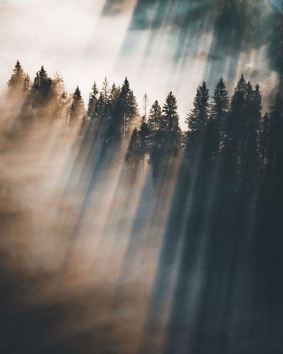 როგორ ვისუნთქოთ სწორად და როგორ გავლენას ახდენს ღრმა და ცნობიერი სუნთქვა ჩვენი ცხოვრების ხარისხზე