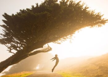 თვითმოტივაცია-წარმატების საწინდარი