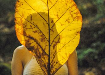 ეგო და მისი მართვა