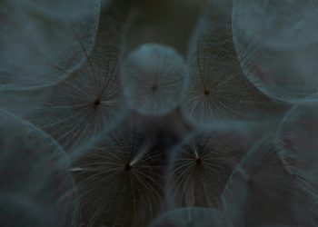 ჩემი მედიტაციის გამოცდილება: შიდა ხმების აღმოჩენა