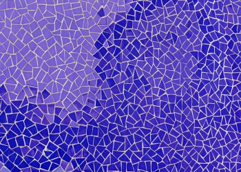 გზა საკუთარი თავისკენ ინტუიციითა და გულით