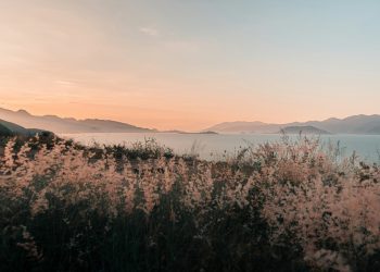 სულიერი საყრდენი და შინაგანი სახლი