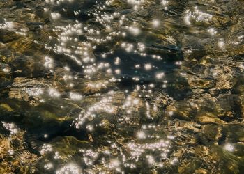 სასოწარკვეთილება